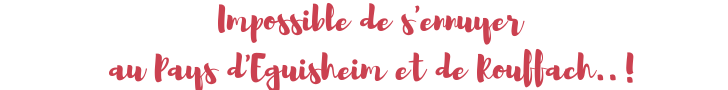 Histoire de blogueurs Au Pays d'Eguisheim et de Rouffach (1)